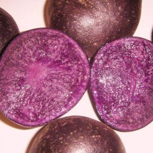 PURPLE MAJESTY SEED POTATOES Bulbs Tubers -2Lb -deep purple color inside and out