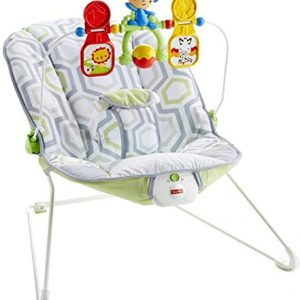 Fisher-Price Baby's Bouncer Geo Meadow
