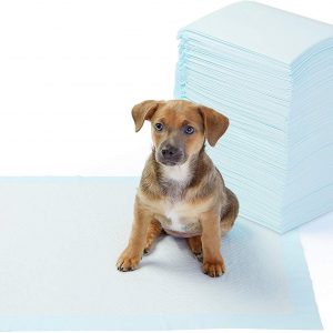 AmazonBasics Dog and Puppy Potty Training Pads, Regular Absorbency