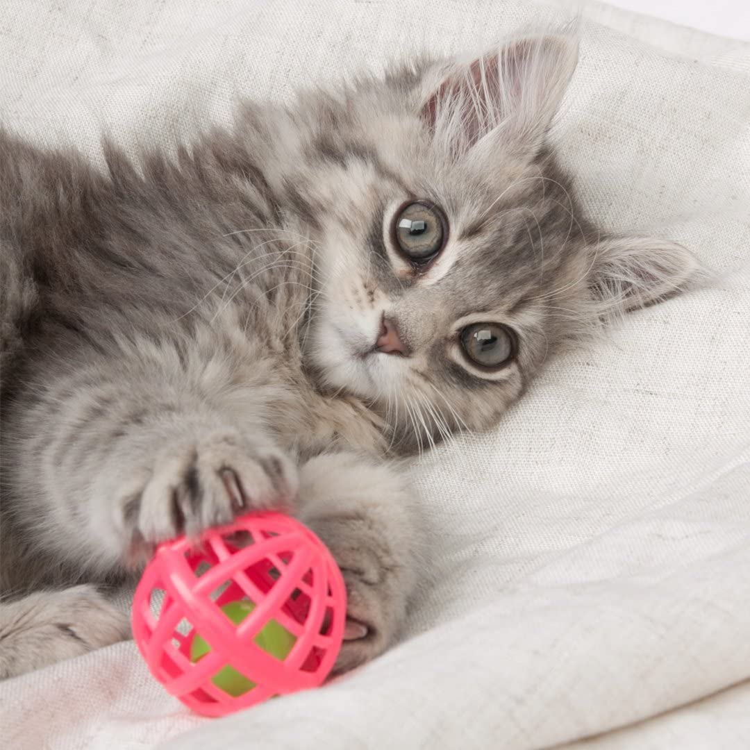 Hartz Just For Cats Cat Toy