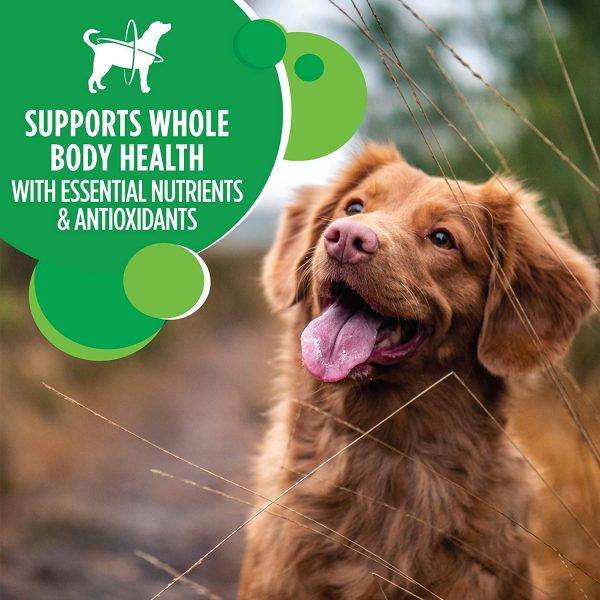 IAMS PROACTIVE HEALTH Minichunks Dry Dog Food, Chicken