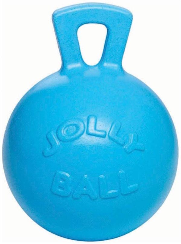 Jolly Ball Blueberry