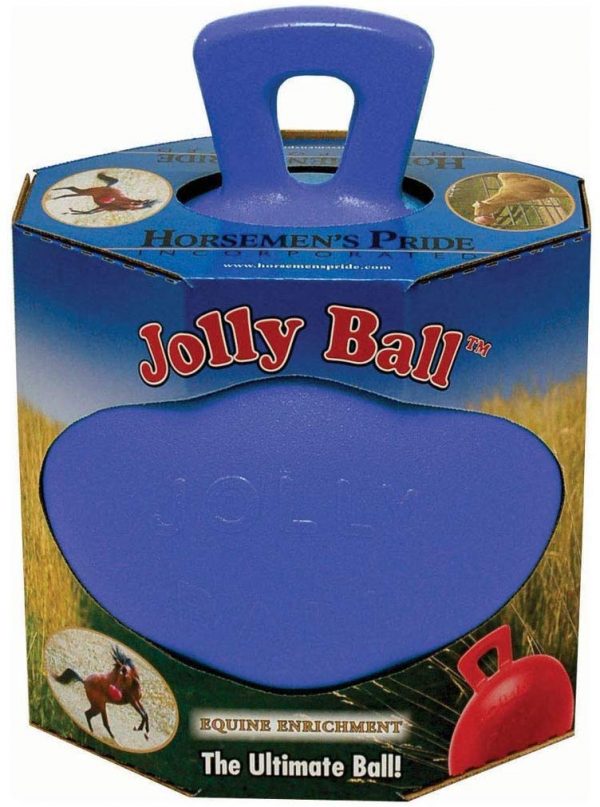 Jolly Ball Blueberry